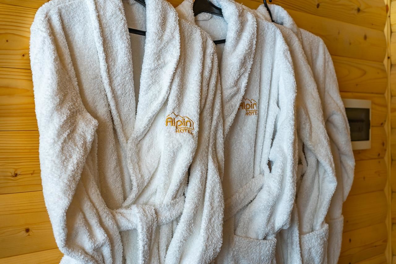 Отель Alpin Hotel Буковель