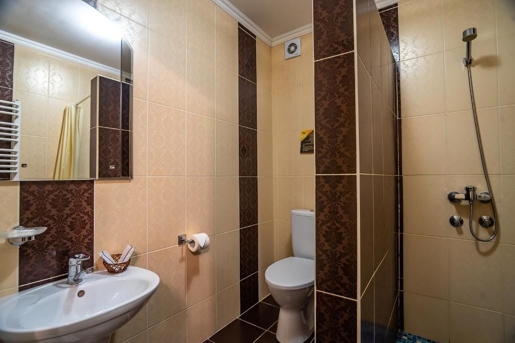 Отель Alpin Hotel Буковель