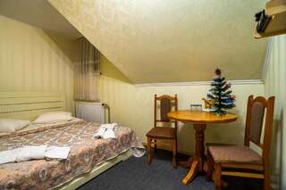 Отель Alpin Hotel Буковель Двухместный номер эконом-класса на мансардном этаже-7