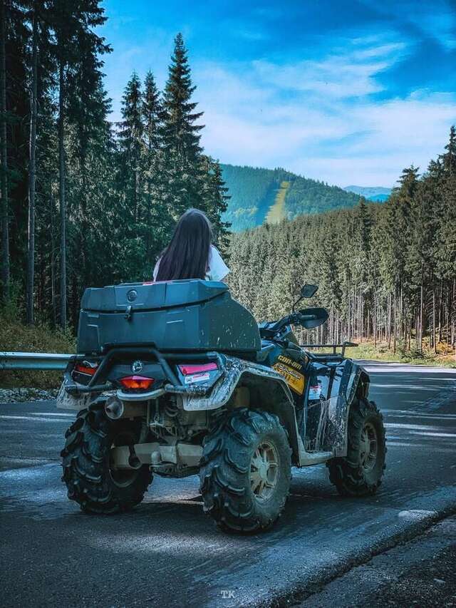 Отель Alpin Hotel Буковель-10